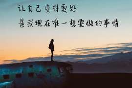 新密侦探公司