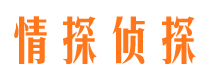 新密侦探公司